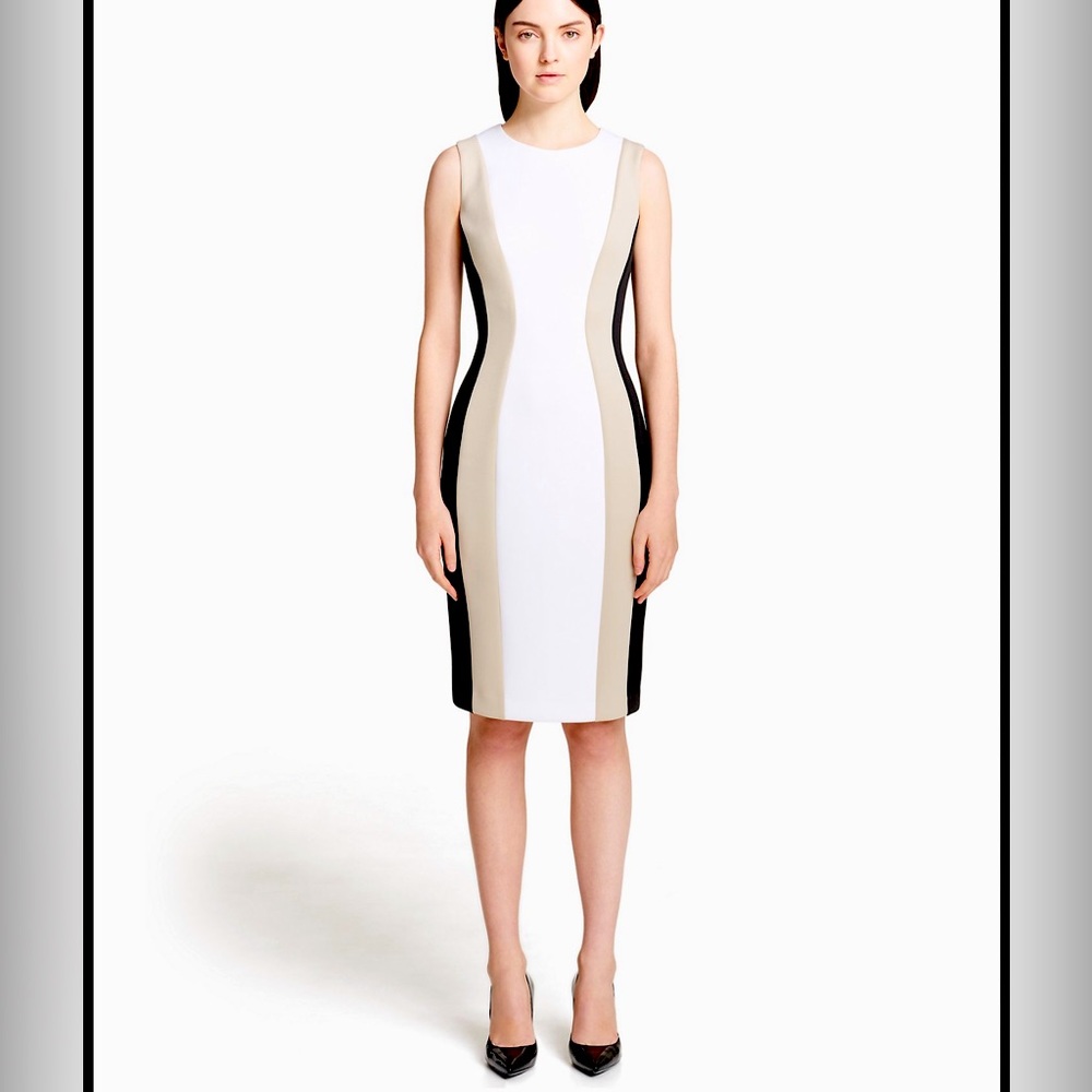 Colorblock Panel Sheath Dress | Calvin. Office or wedding vibes. Size 6.